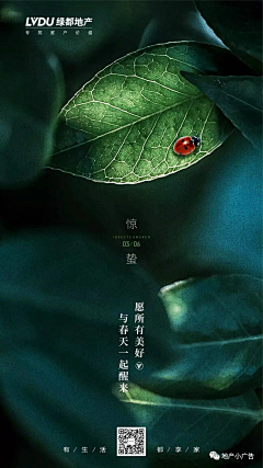 烧锅的采集到节气