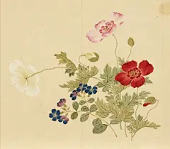 国画临本－董诰（四景花卉册）