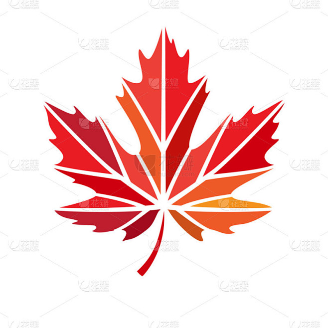 矢量风格化的标识与红色的枫叶