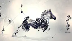 動物主題設計壁紙PS