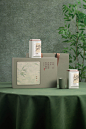 新款绿茶春茶叶包装盒LOGO定制茶叶盒明前龙井碧螺春礼品盒空盒子