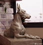 杜宾犬雕塑泥稿完成，准备铸铜 #杜宾#