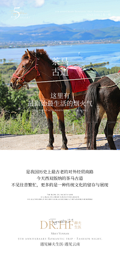 LennyD采集到海报形式