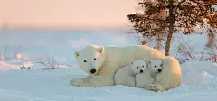 t01a5d6c8f06a99c754