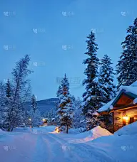 风光系列雪地里的树木和小屋