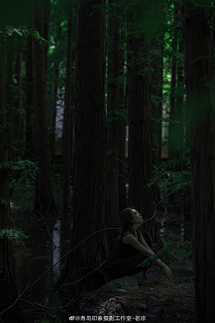 AXCNQJYu采集到森林公园人像写真摄影参考