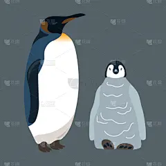 小的,企鹅,可爱的,雪,动物,鸟类,杆,小狗,南极洲,绘制