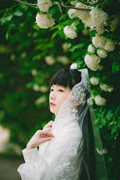 々<(彧坤)>々采集到紫婷砂