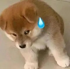 无字表情包_百度图片搜索