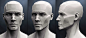 planes-of-the-head-female-3d-model-obj-mtl-stl.jpg (676×299)