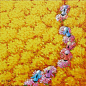【越南年轻艺术家 Duong Ngoc Son插画作品欣赏】
——  Yellow flower field 