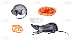 一套可爱的小老鼠或老鼠与小穗，奶酪和坚果。水彩孤立的插图。