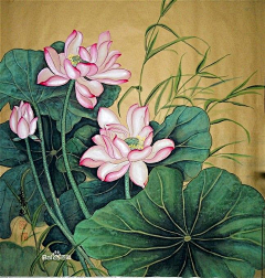 卷生卷死美术人采集到【联想】设计思路