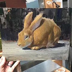 涂画图画的照片 - 微相册