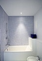 Eccleston Residence contemporary-bathroom