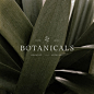 Botanical Logo Design  Modern Floral Text Logo  Leaf Logo  image 1