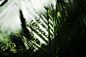 ryunosuke-kikuno-LCkzmavB7tI-unsplash