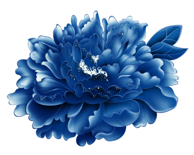 音画素材png免抠蓝色牡丹花素材142雨后惊鸿