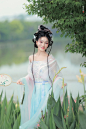 《蝶恋花》 - 快乐猪摄影