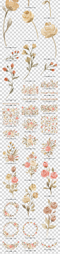 PNG格式森系花环花圈植物树叶插画水彩图片