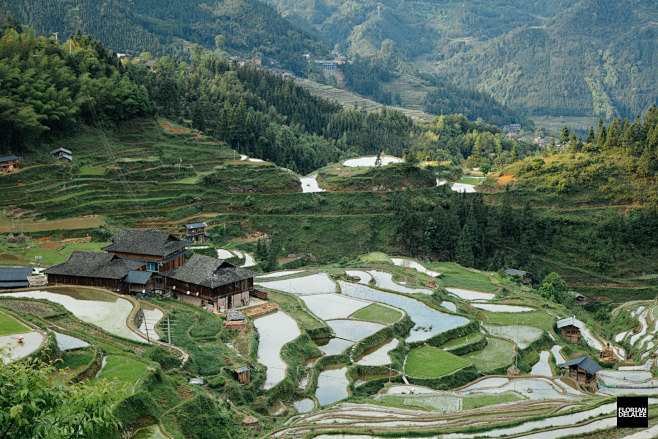 Aerial Photography c...