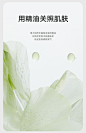 植物-2