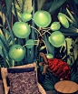 Bar Palmier : Jungle illustration printed on wallpape to decorate the interior of the lounge area of a wine bar.