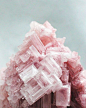 rough cut // tonal pink // pantone color of the year inspiration: 