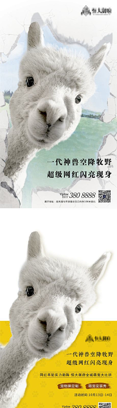 🥨喜艳🥨采集到海报