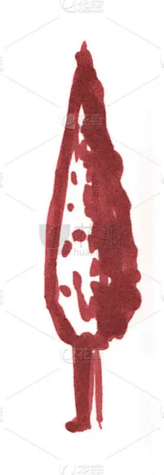 树木素描，柏树手绘标记插图孤立在白色的背景