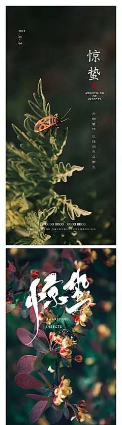 海报 二十四节气 惊蛰 简约 春天 昆虫 蜜蜂 野草 叶子 阳光 系列