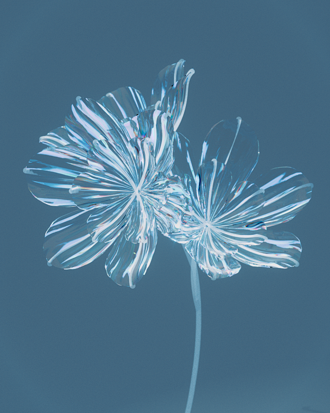 Daily digital flower...