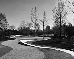 wangshanjay采集到公园景观