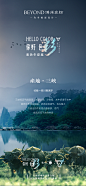 你好素色牛皮席