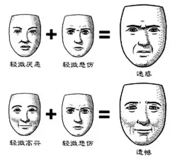找到了人脸表情包全套 ​