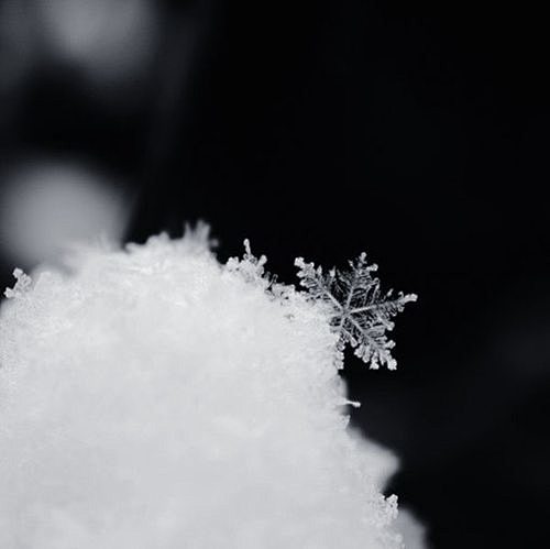 雪景图片