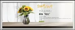 向日葵仿真花简约 海报设计