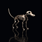 peter-sandeman-ghostdog-insta1080bones