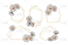 手绘框架与鲜花收集向量。