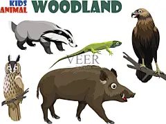 矢量集可爱的森林孩子动物插画图片素材