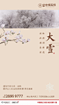 大雪　微信单图　二十四节气