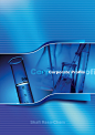 Reso-Chem Corporate Brochure by khawarbilal