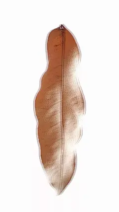 每日砍柴