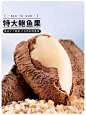 【顺丰】正宗新疆沙漠特产鲍鱼果特大颗粒孕妇坚果零食整箱-淘宝网