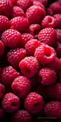  水果红色浆果木莓马林覆盆子树莓 
