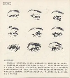 好书推荐《人体造型基础》 沈兆荣 编著 上海教育出版社_看图_洪福画室吧_百度贴吧