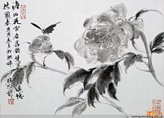 细菌的春天采集到国画花鸟