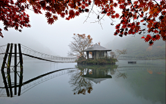 识君后采集到实景