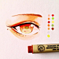 手绘素材 
不同形态的动漫眼睛，自动铅笔+针管笔+马克笔
插画师ins：clivenzu ​​​​