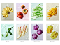 灵动的果蔬 Smart vegetables and fruits on Behance